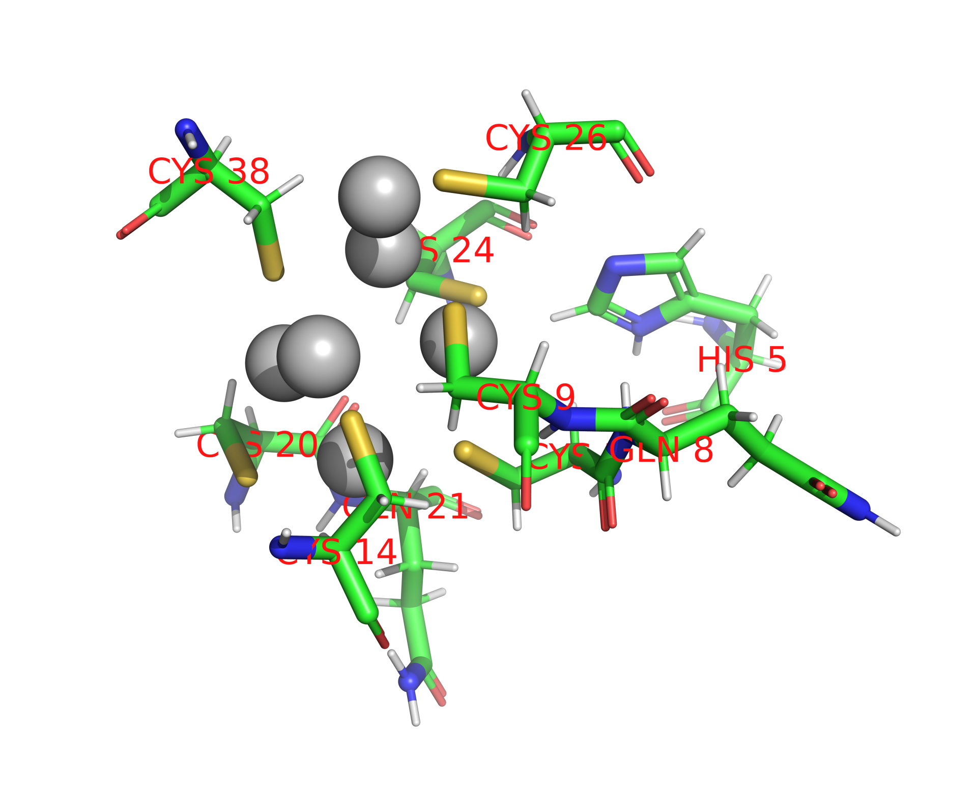 Silver binding site 1 out of 7 in 1aqq Silver binding site 1 out of 7 in 1aqq