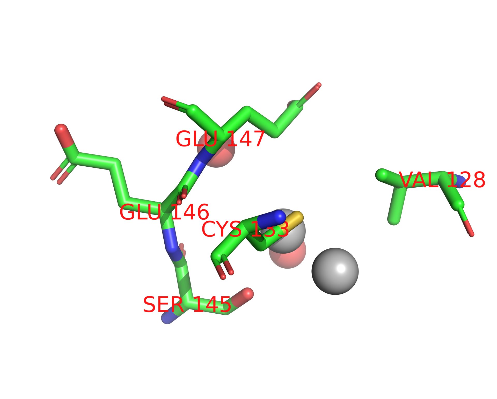 Silver binding site 1 out of 4 in 2g7n Silver binding site 1 out of 4 in 2g7n