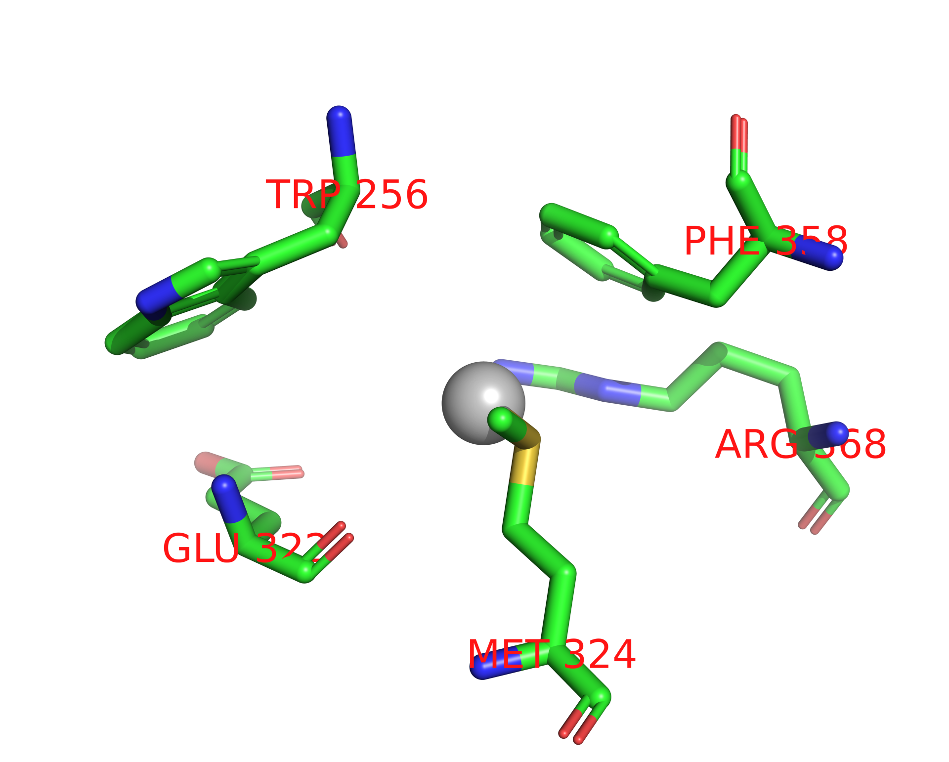 Silver binding site 1 out of 2 in 3h94 Silver binding site 1 out of 2 in 3h94