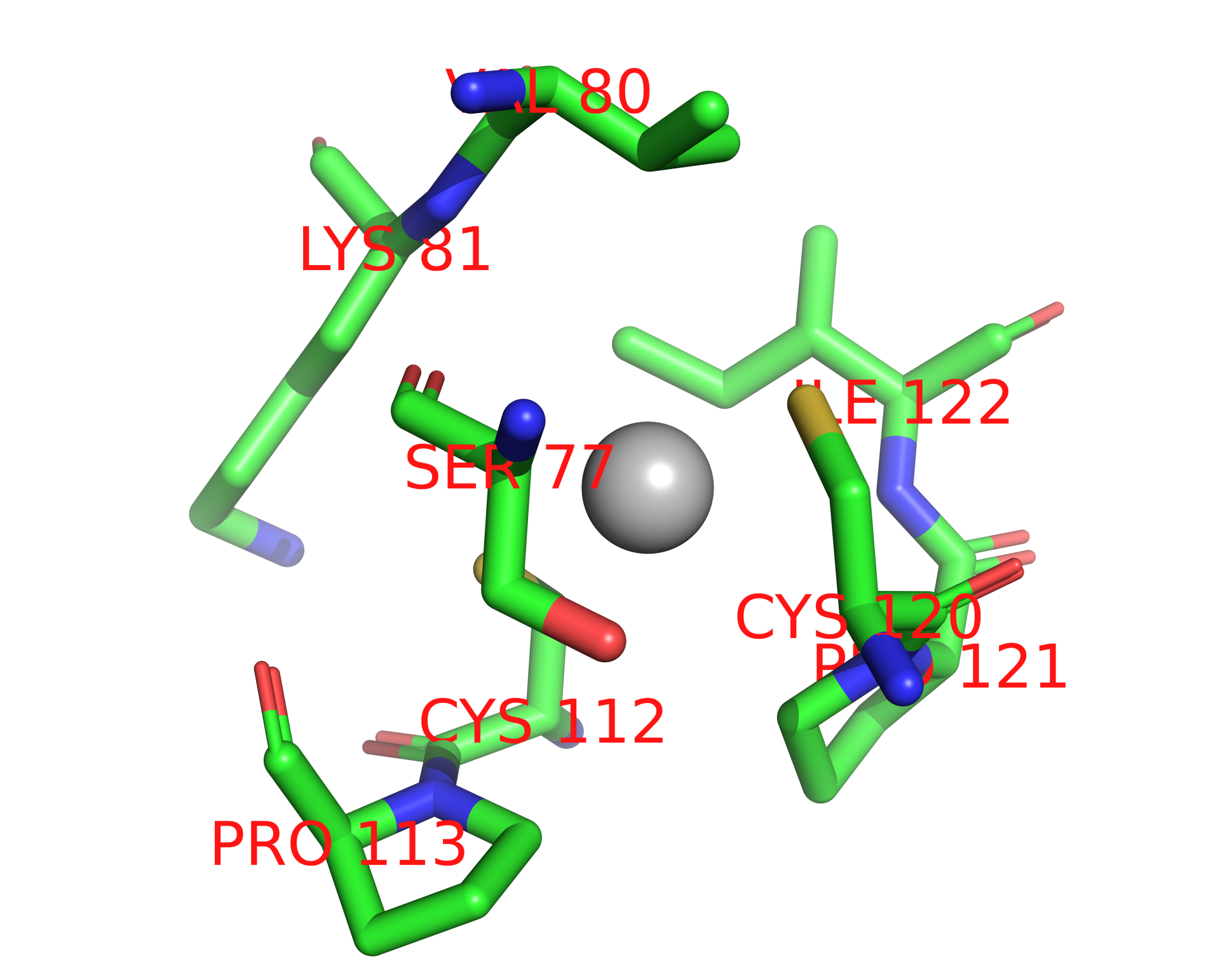 Silver binding site 1 out of 2 in 1q06 Silver binding site 1 out of 2 in 1q06