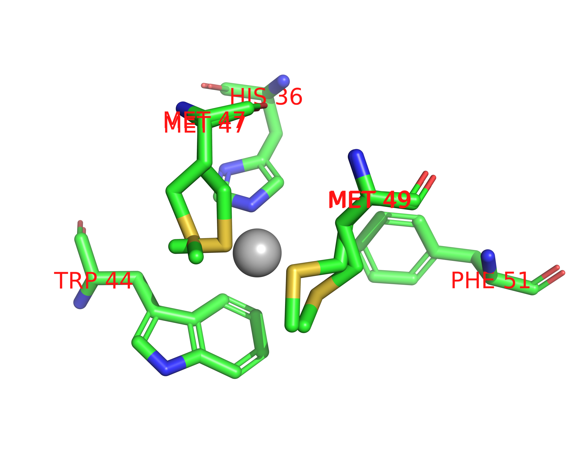 Silver binding site 1 out of 1 in 2qcp Silver binding site 1 out of 1 in 2qcp
