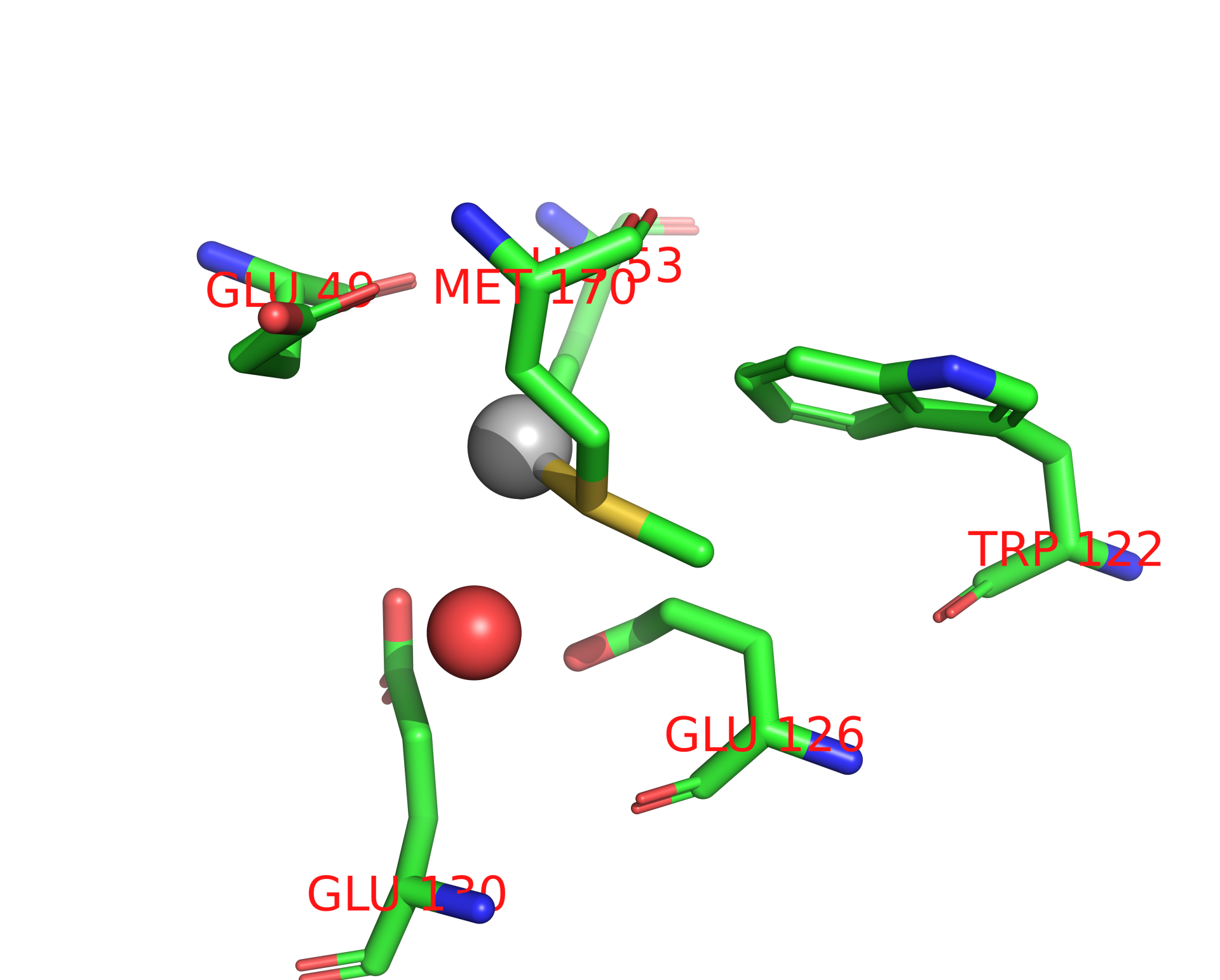 Silver binding site 1 out of 33 in 2x17 Silver binding site 1 out of 33 in 2x17