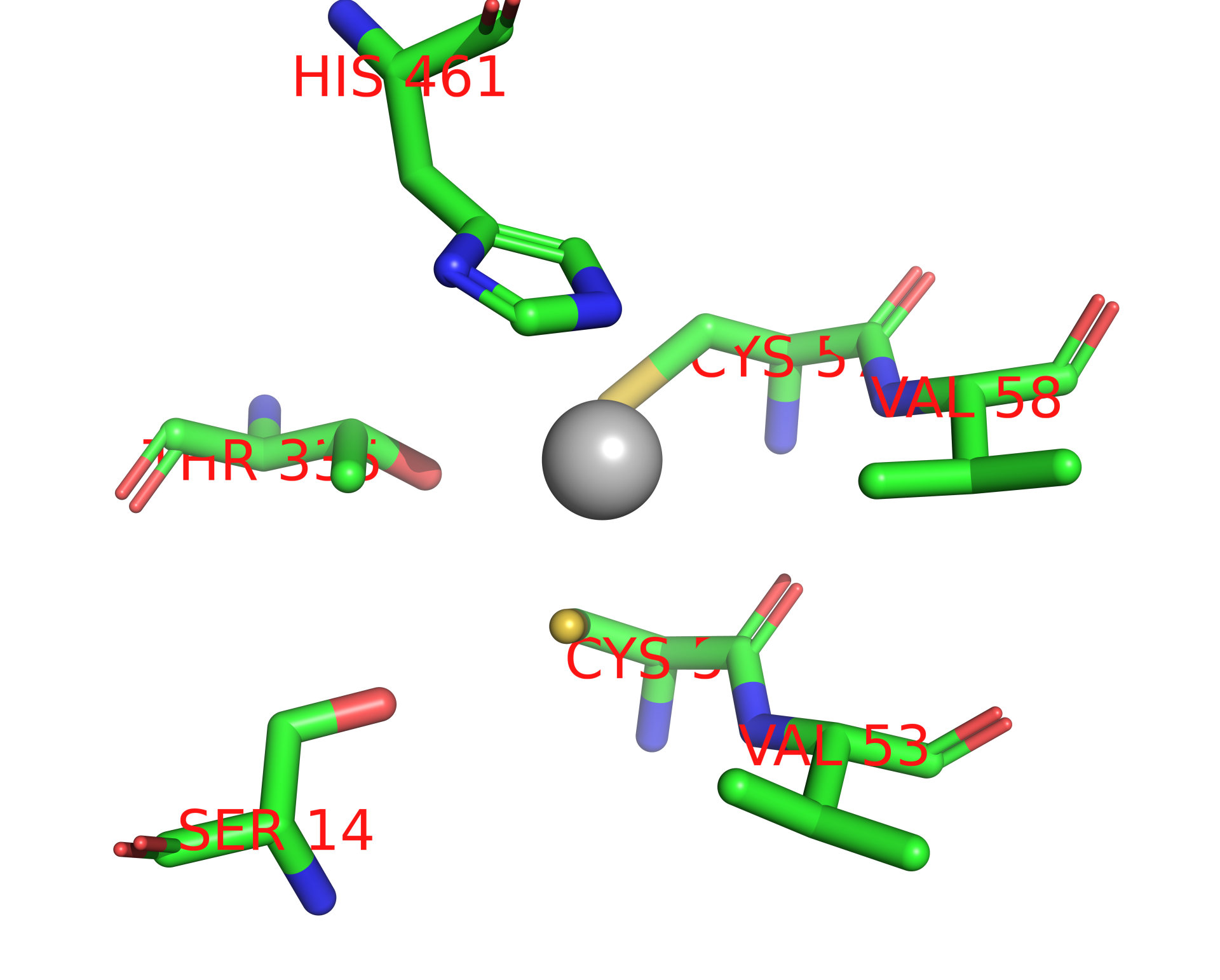 Silver binding site 1 out of 4 in 2x50 Silver binding site 1 out of 4 in 2x50
